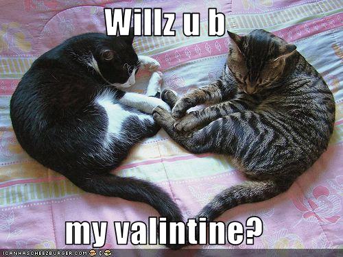 Cat Valentine Funny